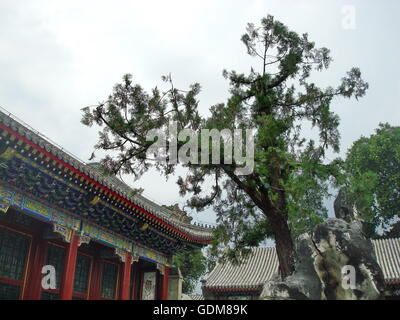 Beijing, Pechino, CHN, Cina. 17 Luglio, 2016. Pechino, Cina - 17 Luglio 2016: (solo uso editoriale. Cina OUT) 95 costumi di donne vivono in Ming e Qing sono in mostra presso il Palazzo Estivo. © SIPA Asia/ZUMA filo/Alamy Live News Foto Stock