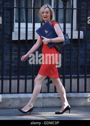 Londra, Regno Unito. 19 Luglio, 2016. Appena nominato Segretario di Giustizia e Lord Cancelliere, Liz arriva a traliccio per PM Theresa Maggio la prima riunione del gabinetto. Credito: Nigel Pacquette/Alamy Live News Foto Stock