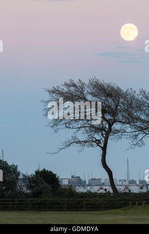 Poole, Dorset, Regno Unito. 19 luglio 2016 UK meteo: Full Moon over Poole bay sul il giorno più caldo dell'anno cercando di fronte alle barene Credito: Carolyn Jenkins/Alamy Live News Foto Stock