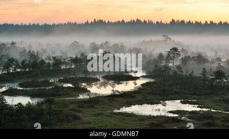 Foschia mattutina nella torbiera di sunrise Foto Stock