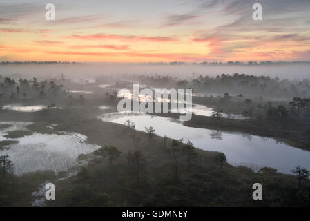 Foschia mattutina nella palude di sunrise Foto Stock