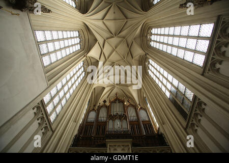 Maria am Gestade chiesa a Vienna Foto Stock