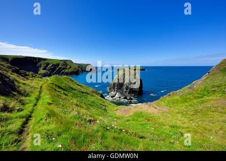 Una vista della linea costiera cornovagliese in Mullion Cove Cornwall Inghilterra REGNO UNITO Foto Stock