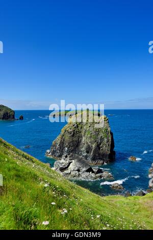 Una vista della linea costiera cornovagliese in Mullion Cove Cornwall Inghilterra REGNO UNITO Foto Stock