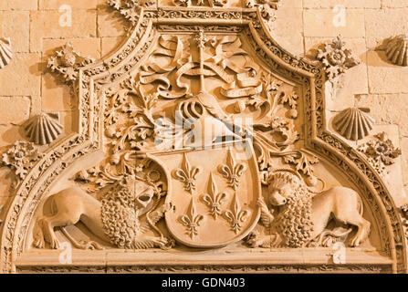 SALAMANCA, Spagna, aprile - 16, 2016: Dettaglio del portale della Casa de las Conchas - Casa di conchiglie. Foto Stock