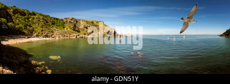 GB - DEVON: Ansteys Cove vicino a Torquay Foto Stock