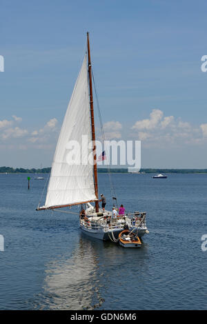 Tonnetto striato e Pushboat Foto Stock