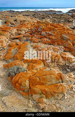 Il Lichen-coperto le rocce in banale punto sulla penisola di Yorke Foto Stock