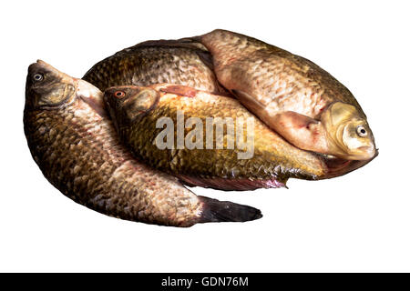 I preparativi per la frittura di pesce carassio isolati su sfondo bianco Foto Stock