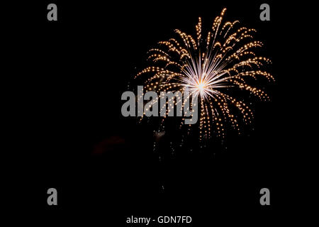 Fuochi d'artificio del 4 luglio. Fotografato in Studio City a Los Angeles in California Foto Stock