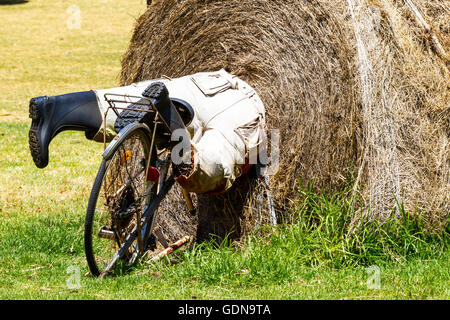 Amabile humour australiano il larrikin lifestyle. La Goodlife stile Australiano home-reso divertente. Foto Stock