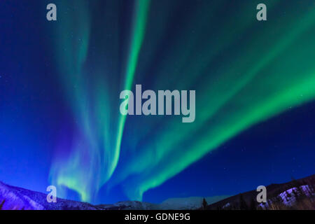 Aurora boreale, luci del nord vicino a Chena Resort, vicino a Fairbanks Alaska Foto Stock