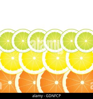 Limone, calce e fettine di arancia sfondo vettoriale per poster Illustrazione Vettoriale