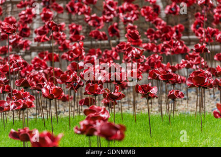 Un campo di papaveri in pianto la finestra di visualizzazione al Black Watch Museum di Perth in Scozia Foto Stock