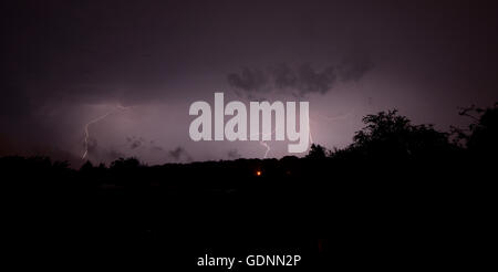 Alleggerimento nella notte. Cieli bui invia lampeggia in basso nella foresta. Foto Stock