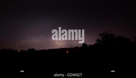 Alleggerimento nella notte. Cieli bui invia lampeggia in basso nella foresta. Foto Stock