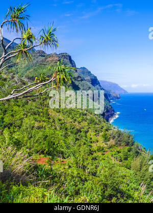 Alta prospettiva dell'Kalalau Trail su Kauai, con un escursionista in distanza Foto Stock