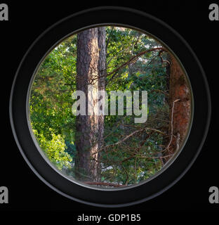 Guardando a una foresta nella luce del sole attraverso una finestra circolare Foto Stock