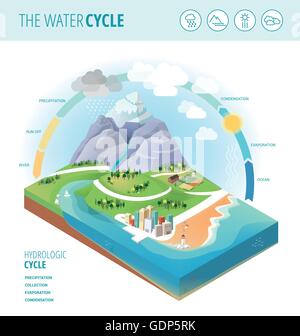 Il ciclo dell'acqua diagramma che mostra la precipitazione, la raccolta, l'evaporazione e la condensazione di acqua su un paesaggio sezione, icone s Illustrazione Vettoriale