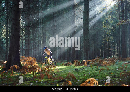 Femmina mountain biker in bicicletta attraverso raggi solari nella Foresta di Dean, Bristol, Regno Unito Foto Stock