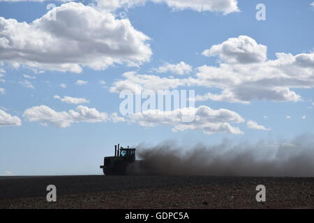 Frumento agricoltore coltivando i suoi campi. Foto Stock