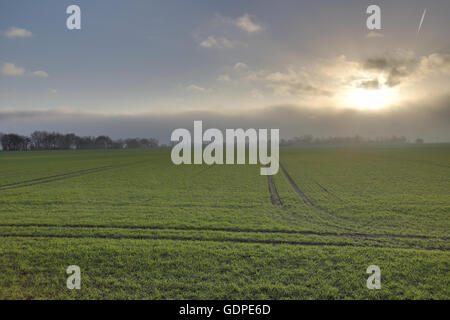 Nuvole scure e la nebbia si avvicinano sul blu cielo soleggiato sopra la città di Grubenhagen vicino a Greifswald, Mecklenburg-Vorpommern, germe Foto Stock