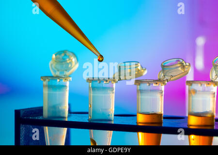 Strip PCR provette e micropipetta nel laboratorio di genetica Foto Stock