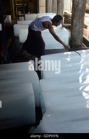 La fabbrica del ghiaccio in una fabbrica di farina di pesce nella città di Myeik nel sud in Myanmar in Southeastasia. Foto Stock