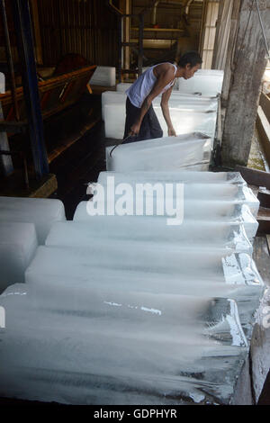 La fabbrica del ghiaccio in una fabbrica di farina di pesce nella città di Myeik nel sud in Myanmar in Southeastasia. Foto Stock