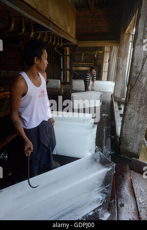 La fabbrica del ghiaccio in una fabbrica di farina di pesce nella città di Myeik nel sud in Myanmar in Southeastasia. Foto Stock