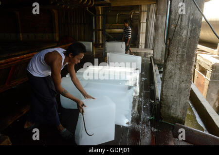 La fabbrica del ghiaccio in una fabbrica di farina di pesce nella città di Myeik nel sud in Myanmar in Southeastasia. Foto Stock