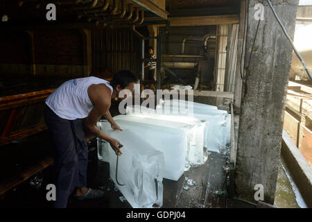 La fabbrica del ghiaccio in una fabbrica di farina di pesce nella città di Myeik nel sud in Myanmar in Southeastasia. Foto Stock