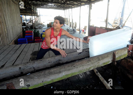 La fabbrica del ghiaccio in una fabbrica di farina di pesce nella città di Myeik nel sud in Myanmar in Southeastasia. Foto Stock