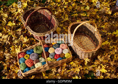 Naturalmente inglese tinto lana di pecora. collocato in inglese willow cesti. Impianto tinti per colore di terra Foto Stock