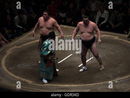 Sumo wrestling al ryogoku kokugikan sumo arena, regione di Kanto, Tokyo, Giappone Foto Stock