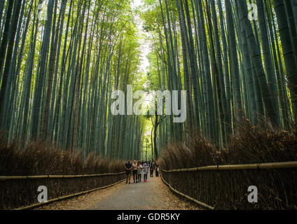 Arashiyama boschetto di bambù, la regione di Kansai, Arashiyama, Giappone Foto Stock