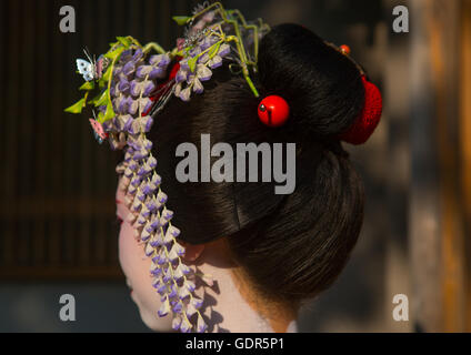 16 anni chiamato maiko chikasaya, la regione di Kansai, Kyoto, Giappone Foto Stock