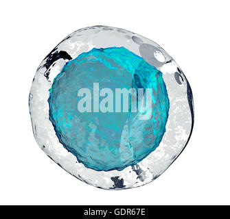 Human cellula uovo isolato su bianco, 3d illustrazione Foto Stock