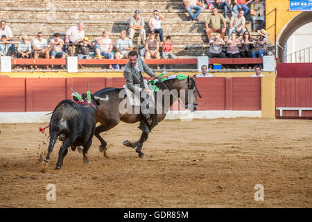 Andujar, Spagna - 12 Settembre 2009: Andy Cartagena, torero a cavallo spagnolo, Andujar, Jaen, Spagna Foto Stock