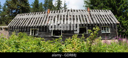 Abbandonata vecchia capanna in legno nei boschi. Foto Stock