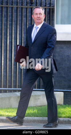Liam Fox,il Segretario di Stato per il commercio internazionale,arriva a Downing Street per una riunione del gabinetto Foto Stock