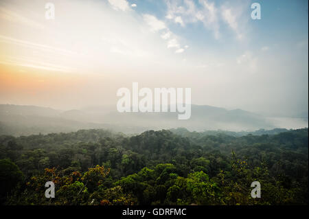 Una giungla tropicale, sunrise in montagna vicino a Munnar Kerala, nel sud dell'India, India Foto Stock