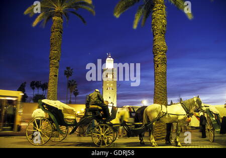 Die Koutoubia Moschee am piazza Djemma El Fna Platz in der Altstadt von Marrakech nel Marokko in Nordafrika. Foto Stock