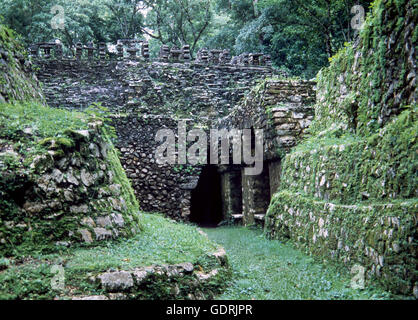 Messico. Yaxchilan. Tempio di labirinto. Tardo periodo classico. Foto Stock