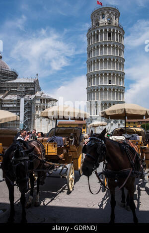 Cavalli e carri presso la Torre Pendente di Pisa, Toscana, Italia Foto Stock