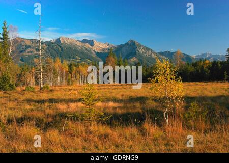 Geografia / viaggi, in Germania, in Baviera, paesaggi prealpini terre, Tiefenberger Moos, vicino Ofterschwang, Rubihorn (mount), Nebelhorn (mount), Additional-Rights-Clearance-Info-Not-Available Foto Stock