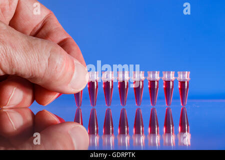 Strip PCR provette e micropipetta nel laboratorio di genetica Foto Stock
