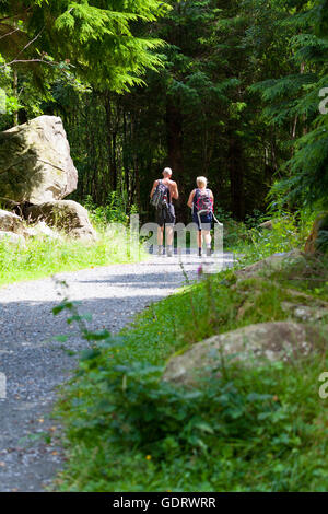 Conwy County, il Galles del Nord, il Regno Unito il 20 luglio 2016. Meteo REGNO UNITO - aria calda rimane su parti del Regno Unito con temperature a 23C a Llyn Crafnant situato vicino alla foresta di Gwydir e con la contea di Conwy. Visitatori escursioni intorno al lago godendo il clima caldo e soleggiato condizioni che sono ancora in giro dopo una notte di pioggia Foto Stock