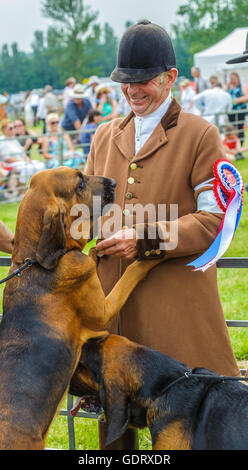 East of England Showground, Peterborough, Regno Unito. Il 20 luglio, 2016. In uno dei giorni più caldi dell anno folla entusiasta di caccia e i sostenitori della campagna hanno partecipato al Festival di caccia a est dell' Inghilterra Showground. Questo anno il festival comprendeva il 127in esecuzione del Peterborough Royal Foxhound mostrano che è ampiamente rinomato come il più importante evento del mondo per foxhound allevamento. Come pure foxhounds era brachetti, Basset Hounds, draghounds e segugi gareggiato plus un terrier campionato. Credito: Matt arto OBE/Alamy Live News Foto Stock