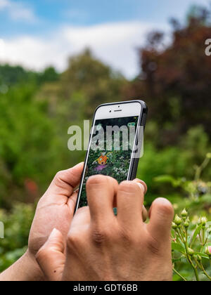 Columbus, Ohio, USA, 21 luglio 2016: Primo piano delle mani che giocano a Pokemon Go sullo schermo del telefono cellulare al Park of Roses. Pokemon Go è un gioco mobile basato su una posizione basata su realtà aumentata sviluppato da Niantic Labs utilizzando i popolari personaggi di azione dei videogiochi Nintendo. Credit: 2016 Marianne A. Campolongo/Alamy Live News. Foto Stock